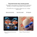 Массажер-подушка MEDICA+ MassPro 11 (Шиацу для шеи, талии, плеч, поясницы и спины) фото № 2